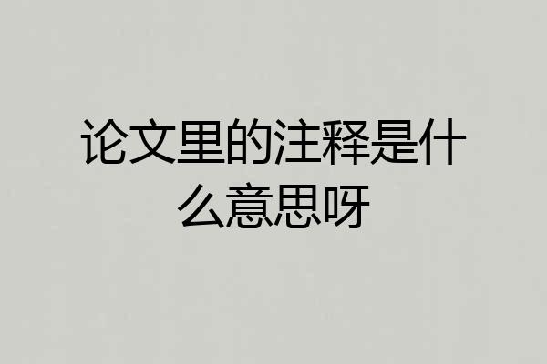 论文里的注释是什么意思呀