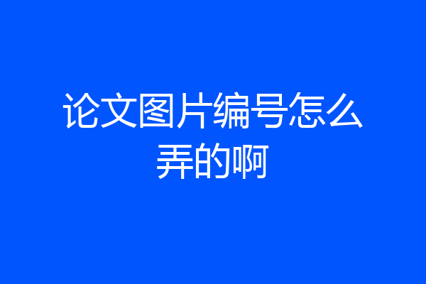 论文图片编号怎么弄的啊
