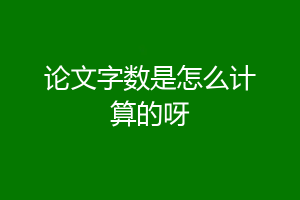 论文字数是怎么计算的呀