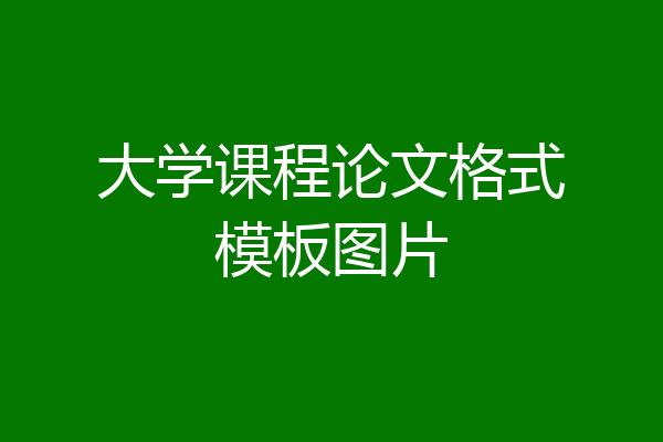 大学课程论文格式模板图片