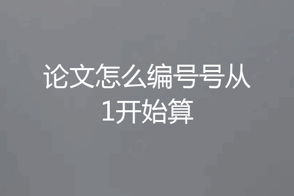 论文怎么编号号从1开始算