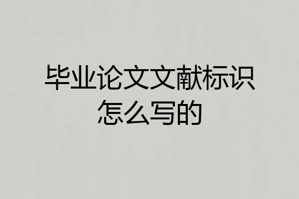 毕业论文文献标识怎么写的