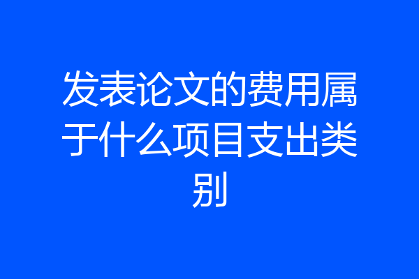 发表论文的费用属于什么项目支出类别