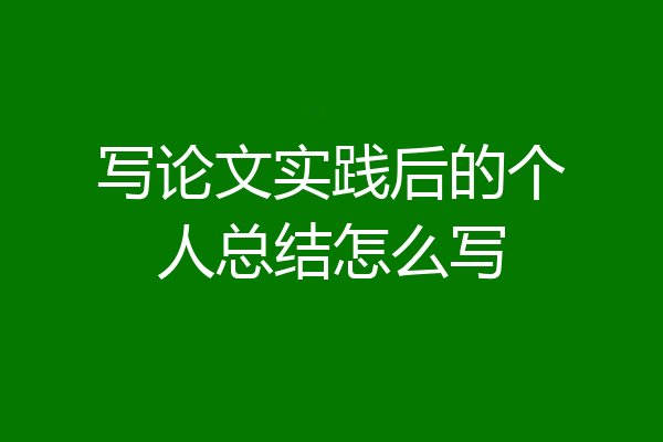 写论文实践后的个人总结怎么写
