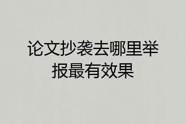 论文抄袭去哪里举报最有效果