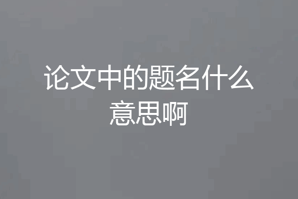 论文中的题名什么意思啊