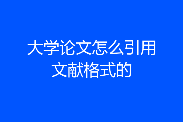 大学论文怎么引用文献格式的