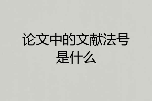 论文中的文献法号是什么