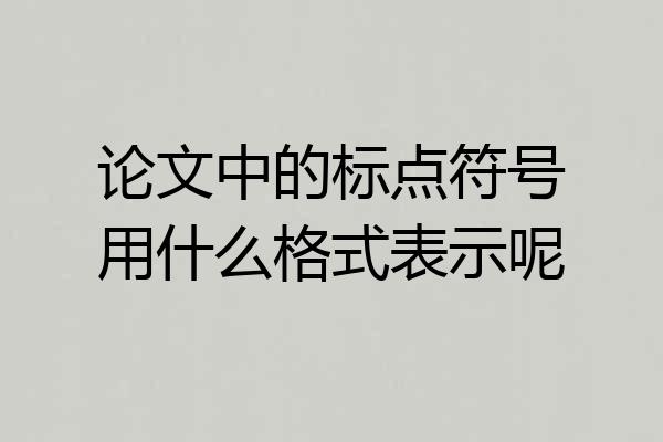 论文中的标点符号用什么格式表示呢