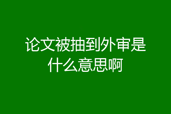 论文被抽到外审是什么意思啊