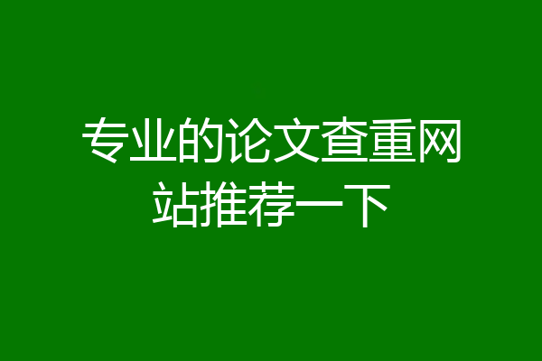 专业的论文查重网站推荐一下