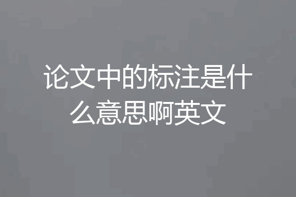 论文中的标注是什么意思啊英文