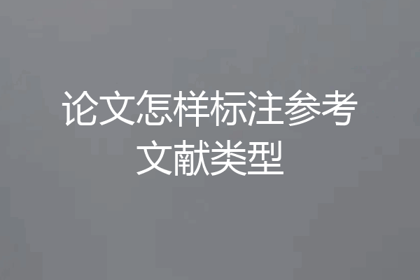 论文怎样标注参考文献类型
