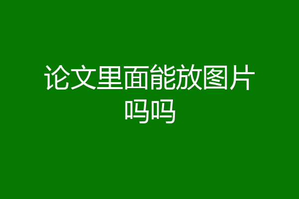 论文里面能放图片吗吗
