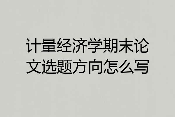 计量经济学期末论文选题方向怎么写