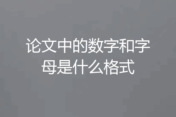 论文中的数字和字母是什么格式