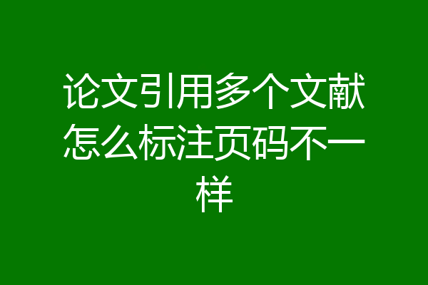 论文引用多个文献怎么标注页码不一样
