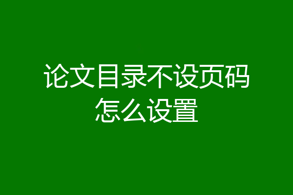 论文目录不设页码怎么设置