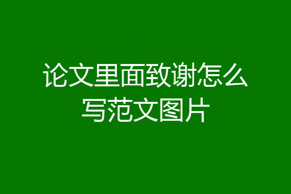 论文里面致谢怎么写范文图片