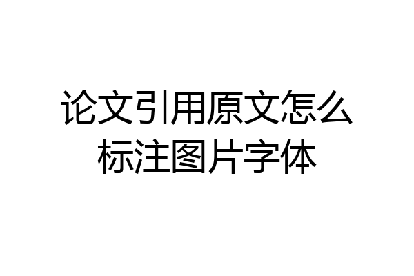 论文引用原文怎么标注图片字体