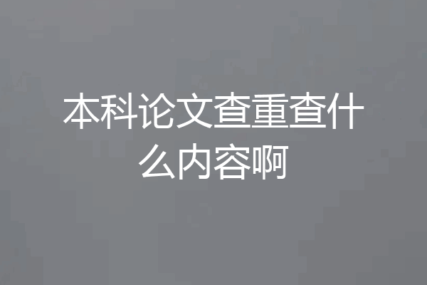 本科论文查重查什么内容啊