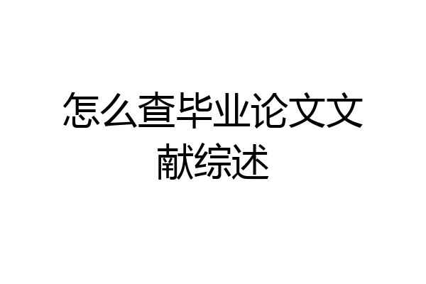 怎么查毕业论文文献综述