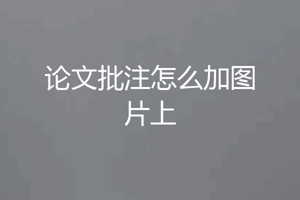 论文批注怎么加图片上