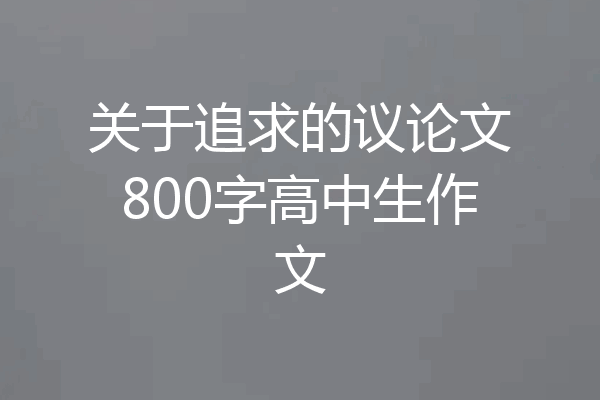 关于追求的议论文800字高中生作文