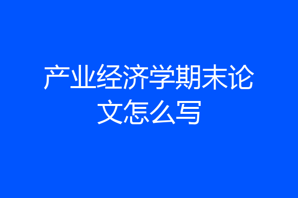 产业经济学期末论文怎么写