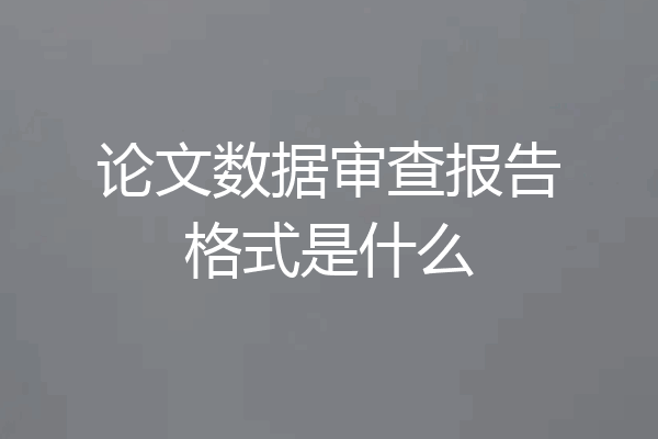 论文数据审查报告格式是什么