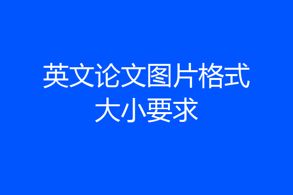 英文论文图片格式大小要求