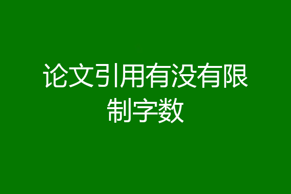 论文引用有没有限制字数