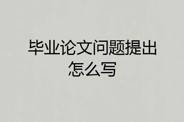 毕业论文问题提出怎么写