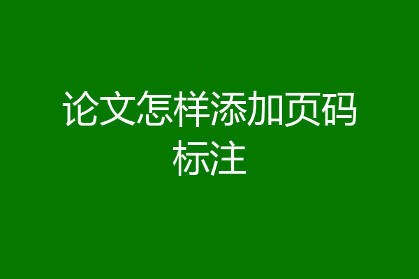论文怎样添加页码标注
