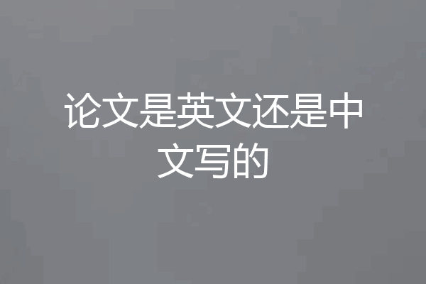 论文是英文还是中文写的