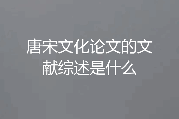 唐宋文化论文的文献综述是什么