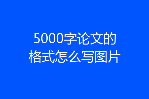 5000字论文的格式怎么写图片