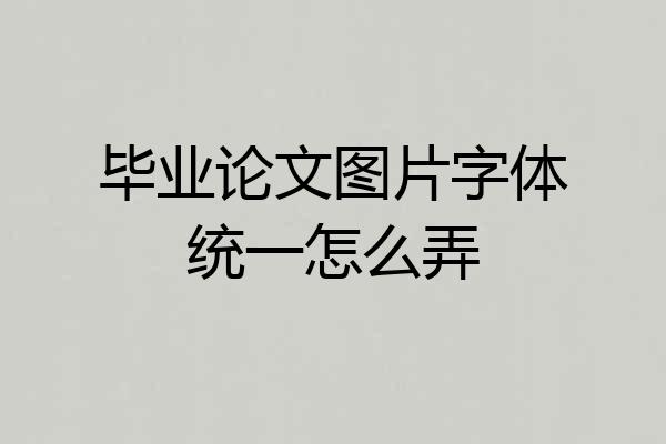 毕业论文图片字体统一怎么弄