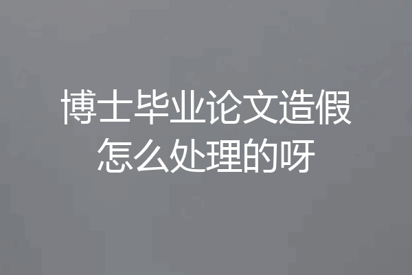 博士毕业论文造假怎么处理的呀