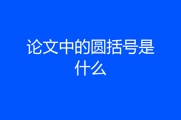 论文中的圆括号是什么