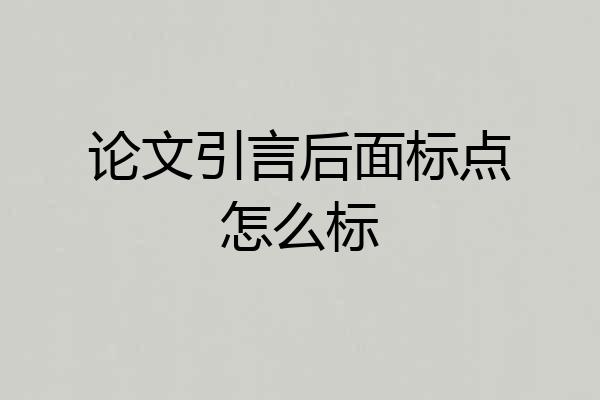 论文引言后面标点怎么标
