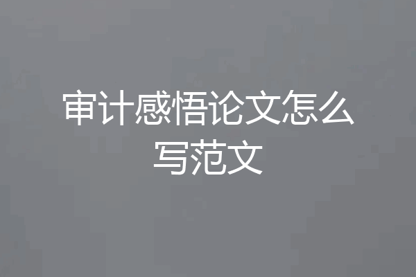 审计感悟论文怎么写范文