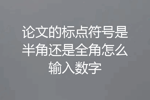 论文的标点符号是半角还是全角怎么输入数字