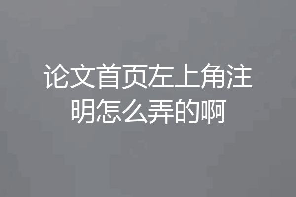 论文首页左上角注明怎么弄的啊