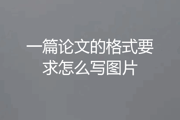 一篇论文的格式要求怎么写图片