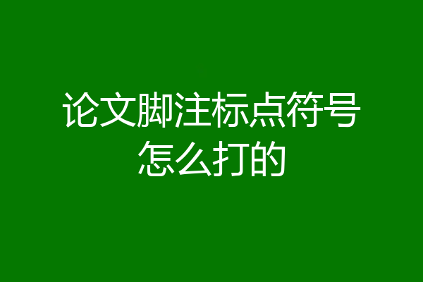 论文脚注标点符号怎么打的