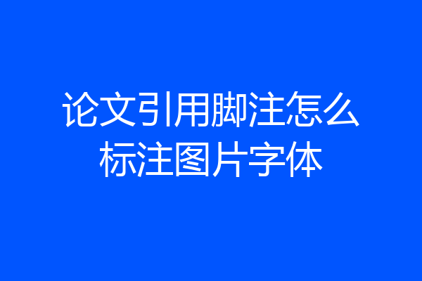 论文引用脚注怎么标注图片字体