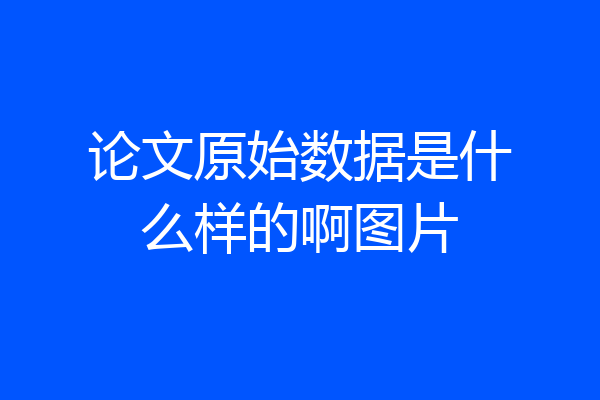 论文原始数据是什么样的啊图片