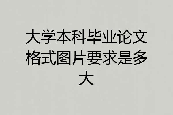 大学本科毕业论文格式图片要求是多大