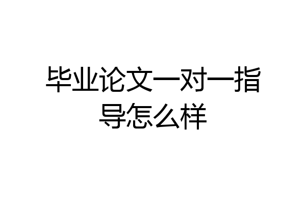 毕业论文一对一指导怎么样